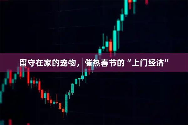 留守在家的宠物，催热春节的“上门经济”