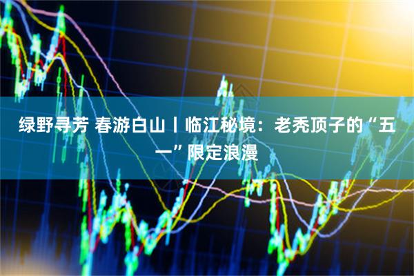绿野寻芳 春游白山丨临江秘境：老秃顶子的“五一”限定浪漫