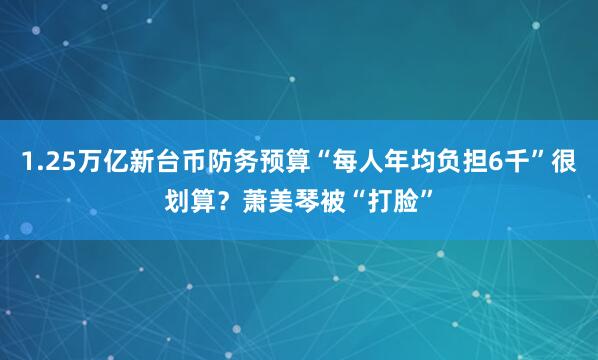 1.25万亿新台币防务预算“每人年均负担6千”很划算？萧美琴被“打脸”