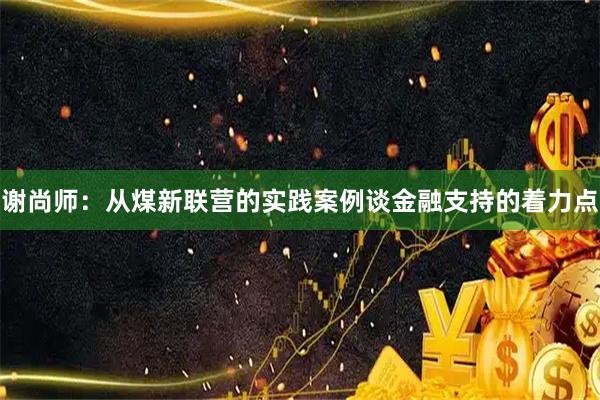谢尚师：从煤新联营的实践案例谈金融支持的着力点