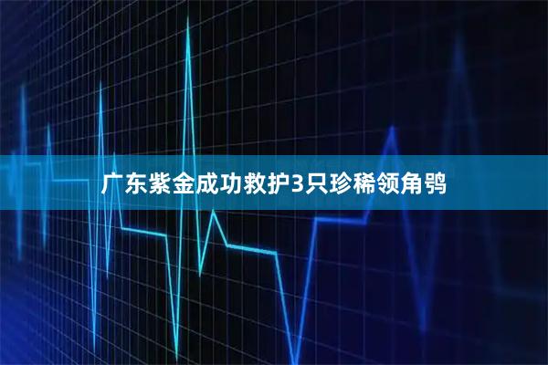 广东紫金成功救护3只珍稀领角鸮
